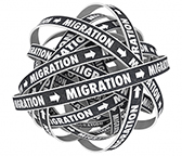 website migration